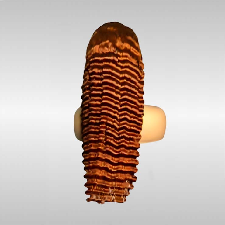 #350 Colored Frontal Lace Wig