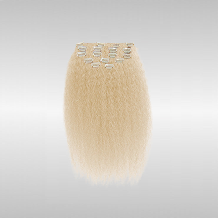 Clip-Ins (12A best quality clip-in hair - 20 PCs/package)