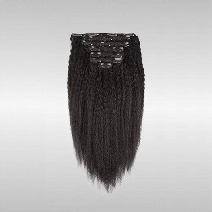 Clip-Ins (12A best quality clip-in hair - 20 PCs/package)