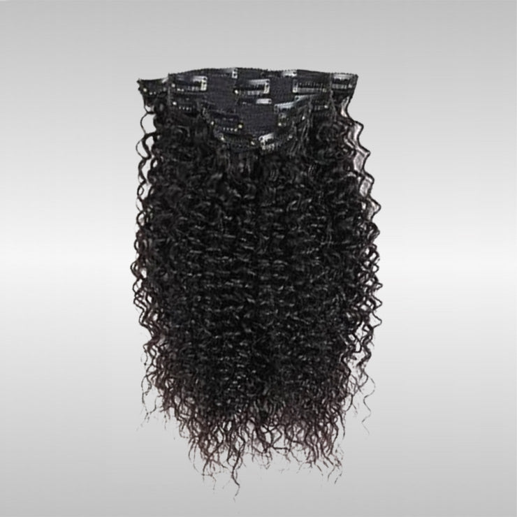 Clip-Ins (12A best quality clip-in hair - 20 PCs/package)
